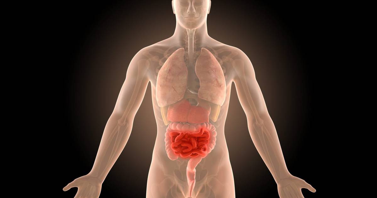 Zwei Formen von Morbus Crohn: bessere Behandlung? - Gesundheitshandbuch