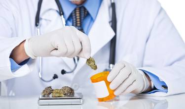 Cannabis kan hjälpa mot epilepsi?