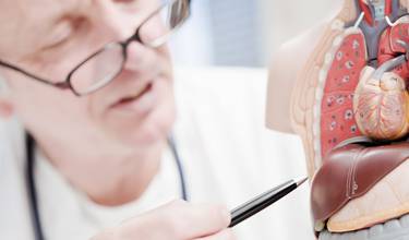 Nyt håb for patienter med non-alkoholisk fedtlever