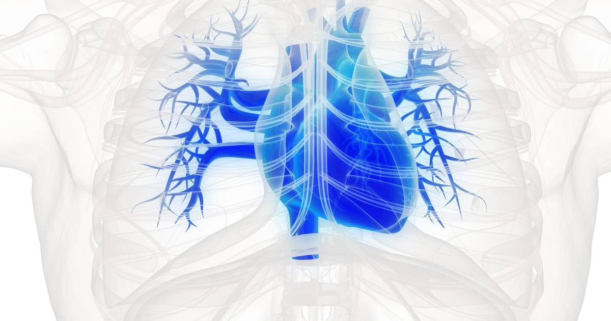 BypassOperation Symptome, Ursachen und Behandlungen